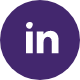 Linkedin Icon