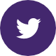 Twitter Icon